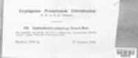 Image Associated With the Occurence